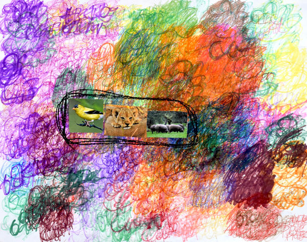 Lawrence M., Baby African Lion, 2022