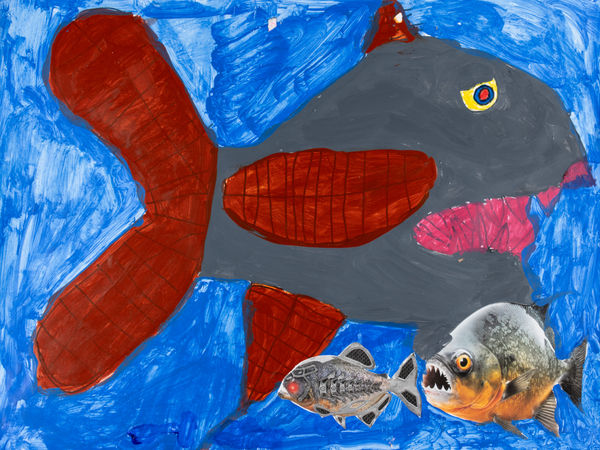 Jean Wilson, Piranha, 2024