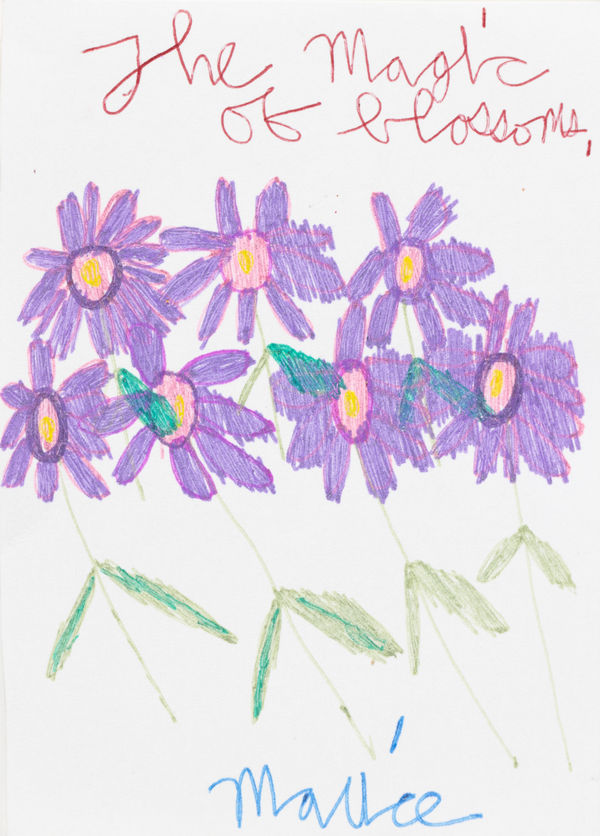Marice Aiston, The Magic of Blossoms, 2024