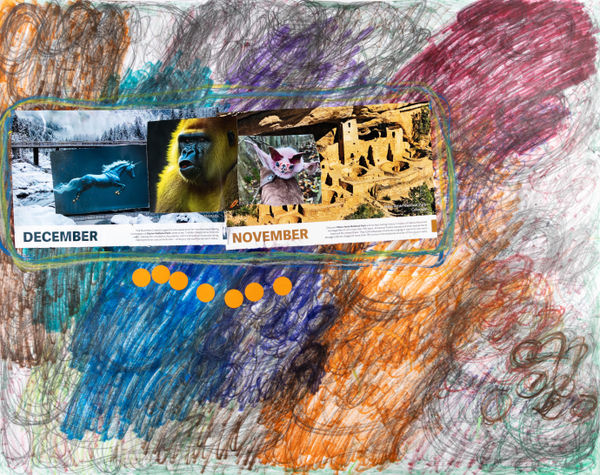 Lawrence M., Baby Pink Vampire Bat, 2025