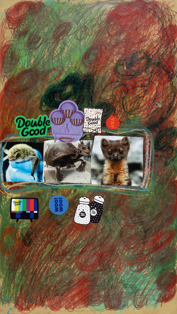 Lawrence M., Green Northern Bat, 2025