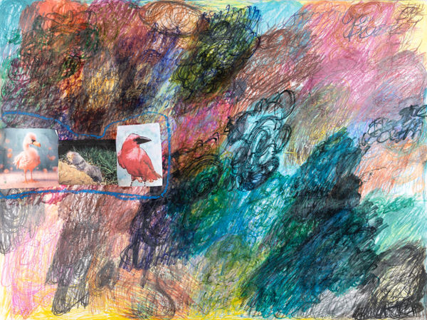 Lawrence M., Baby Black Duck, 2024