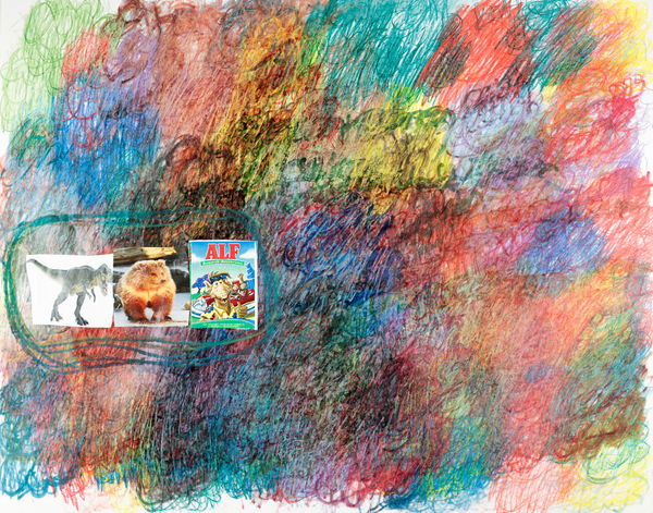 Lawrence M., Orange Bear, 2023