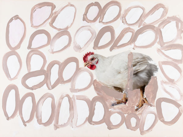 Jean Wilson, Chicken Egg, 2025