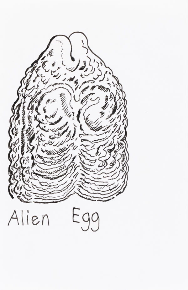 David Jarmon, Untitled, 2024