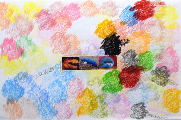 Lawrence M., Baby Blue Hedgehog, 2022