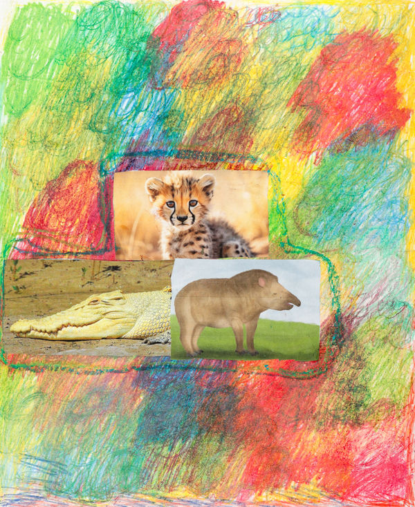 Lawrence M., Untitled, 2024