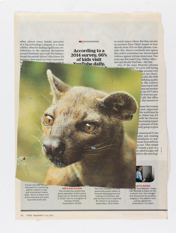 Lawrence M., Untitled (Fossa / Julia), n.d.