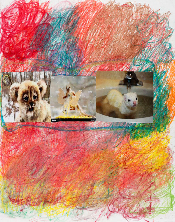 Lawrence M., Lion Cub, n.d.