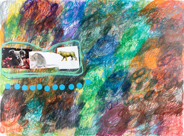 Lawrence M., Pink Baby Koala Bear, 2024