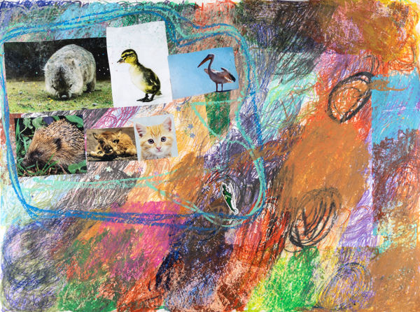 Lawrence M., Baby Pink Africa Pelican, 2024