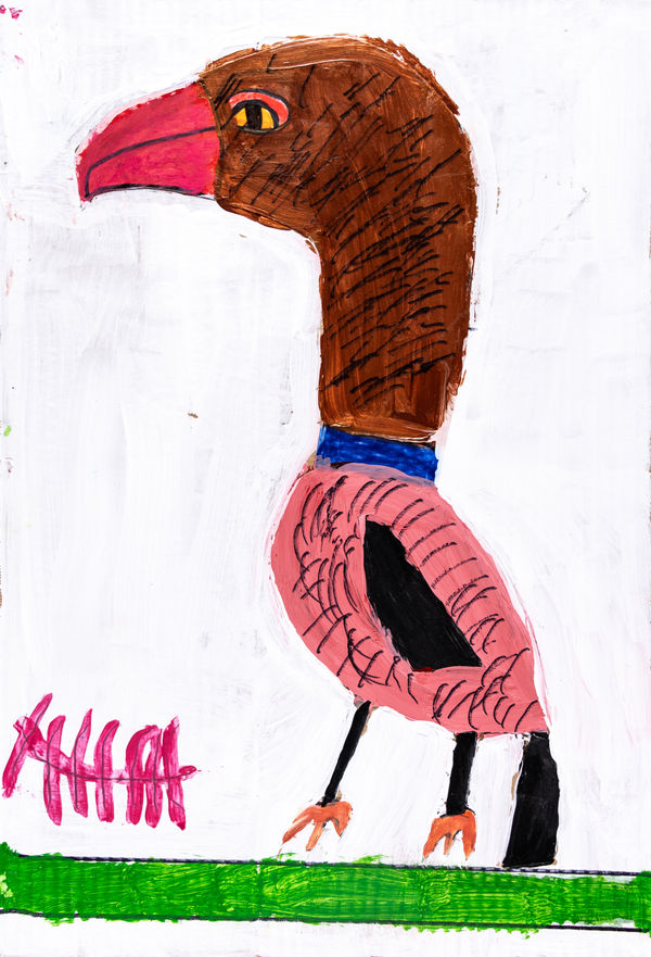 Jean Wilson, Vulture and Bone, 2019