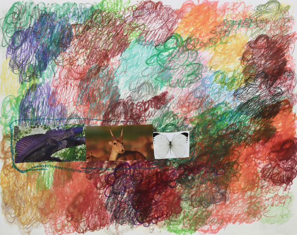 Lawrence M., Soo Soo Antalope, 2022