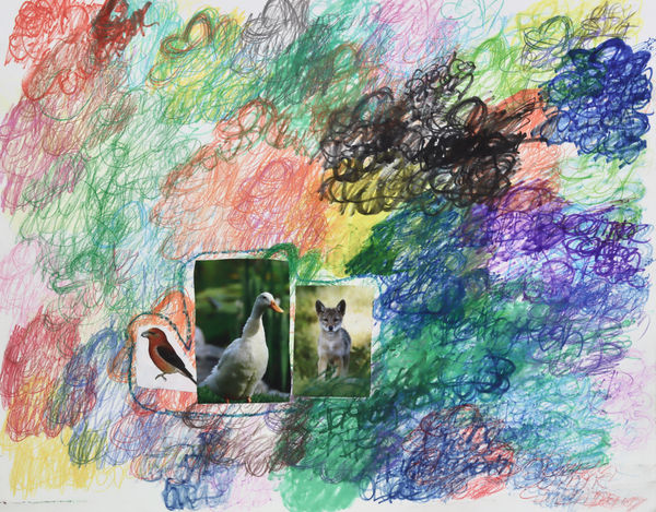 Lawrence M., White Duck, 2022