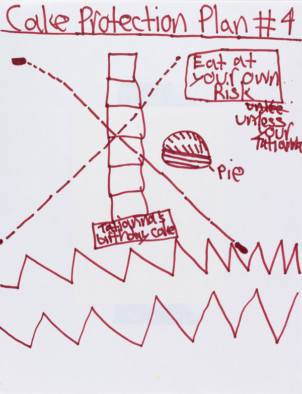 Tatianna Adams, Cake Protection Plan 4, 2024