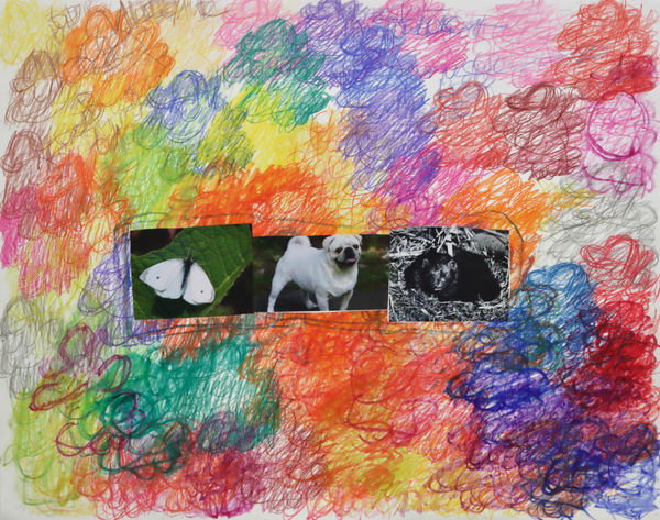 Lawrence M., White pug dog, 2022