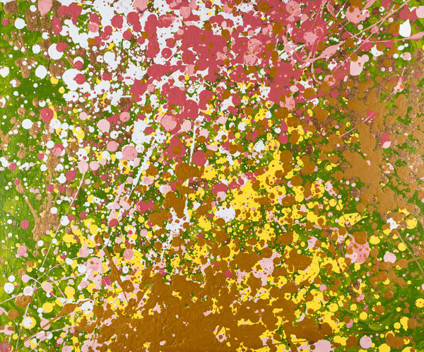 Oly Trindl, Spring , 2019