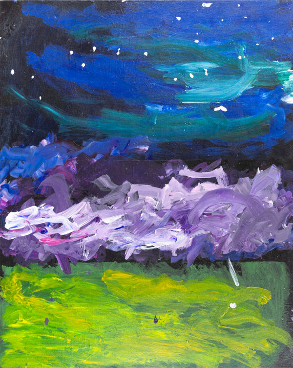 Amanda Gantner, The Galaxy of America, 2019