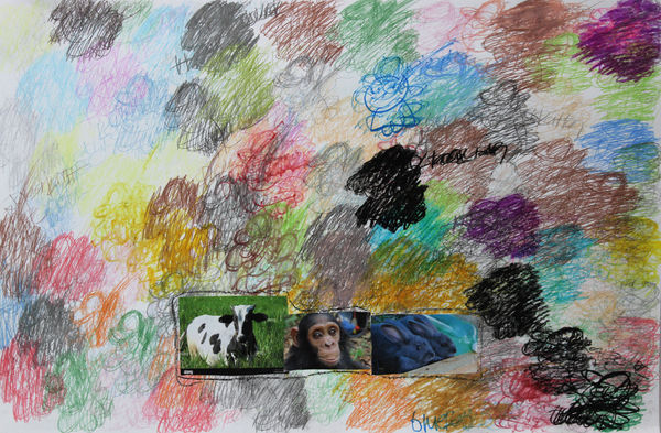 Lawrence M., Baby Blue Emperor Rabbit, 2022