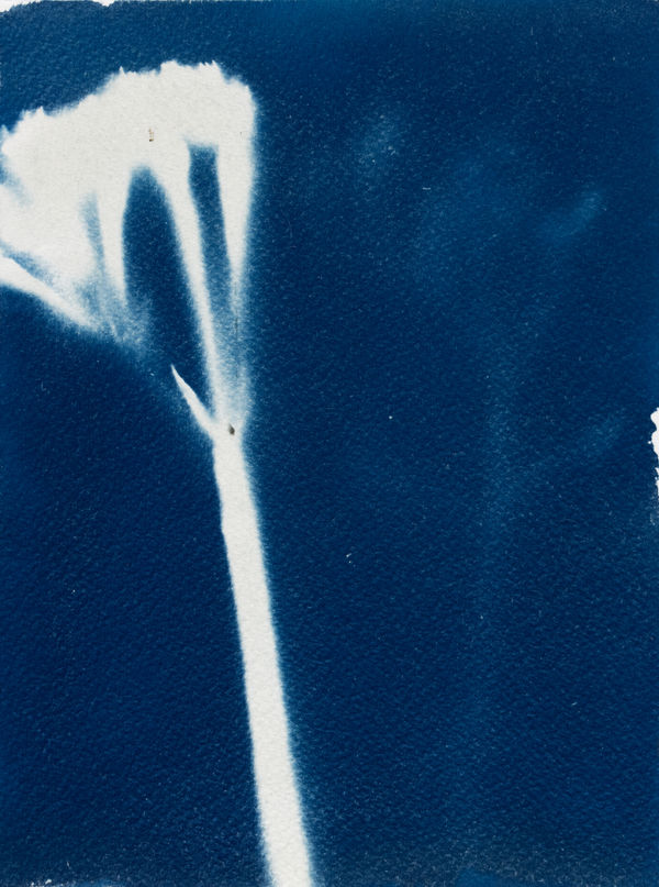 Nik Heusman, Untitled, 2023