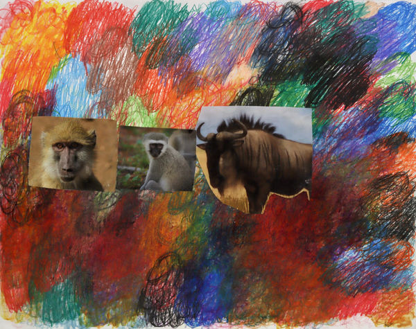 Lawrence M., Kinda Babboon, 2023