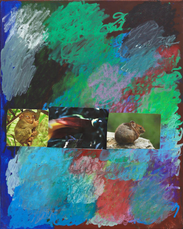 Lawrence M., Rainbow of Animals, 2023