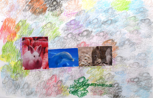 Lawrence M., Blue Arctic Dolphin, 2022