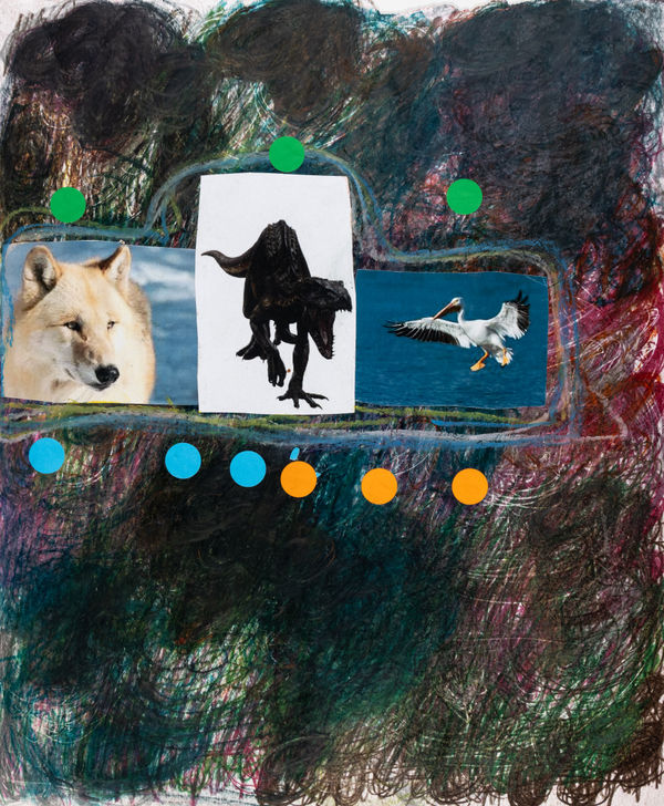 Lawrence M., American Pelican, 2025