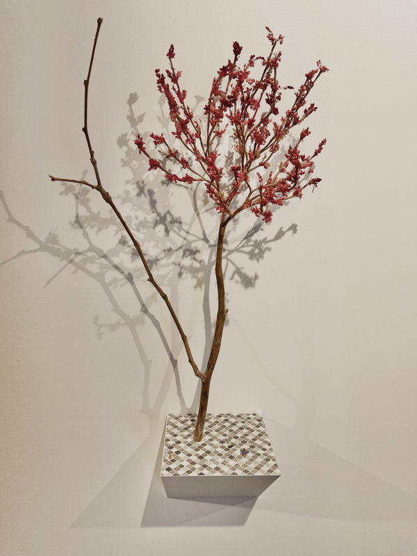 Robert McAn, Rear View Mirror, 2022