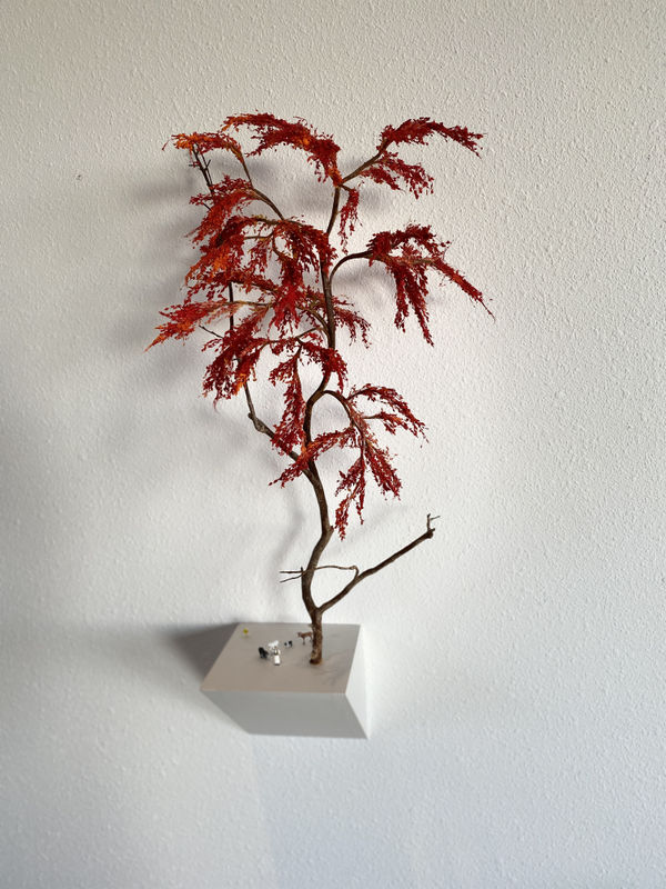 Robert McAn, The Club , 2022