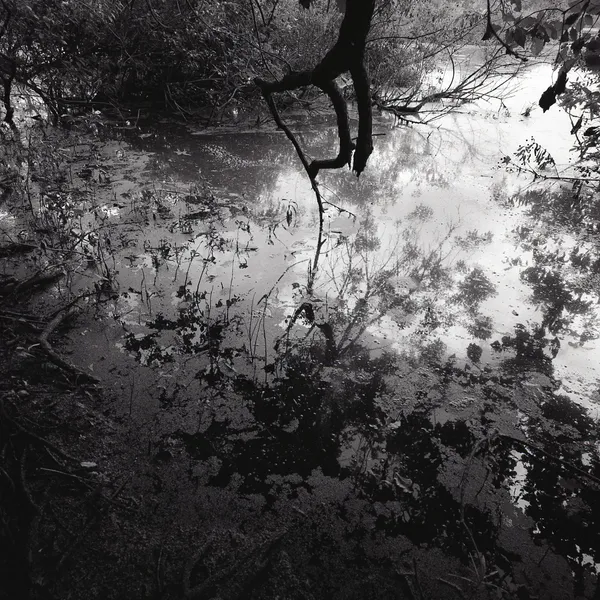 Martha Peters, Dark Water (Tarrant County, Texas), 2020