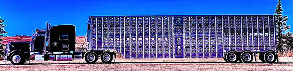 J.C. Pace III, Purple 18 Wheeler, 2023