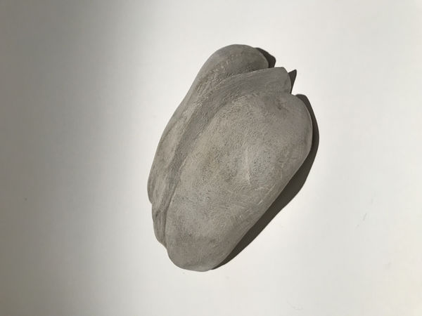 J.C. Pace III, Pecan, 2018