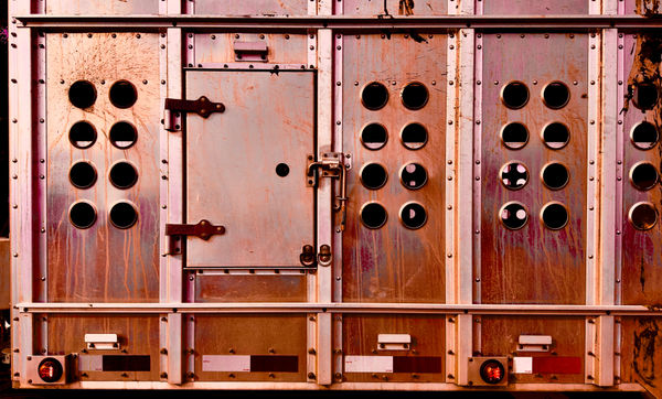 J.C. Pace III, Orange Dog Door, 2023