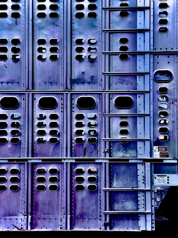 J.C. Pace III, 40 UltraMarine Blue, 2023