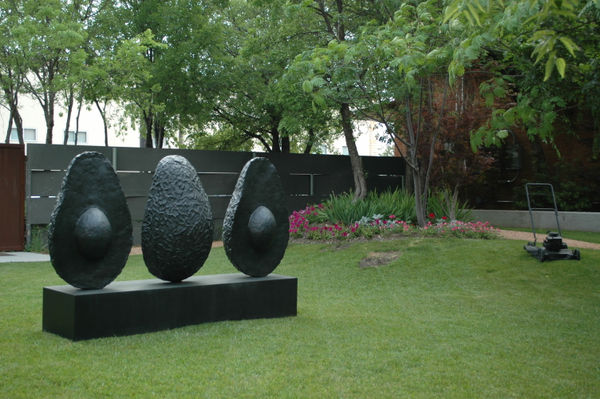 J.C. Pace III, Avocados (3)