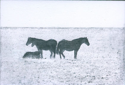 Katie Maratta, Horse Grouping #2, 2019