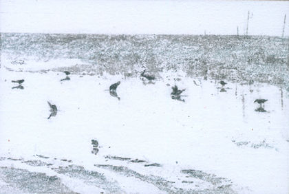 Katie Maratta, Birds in Puddle #3, 2019