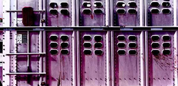 J.C. Pace III, 34 Purple with Paddle, 2023