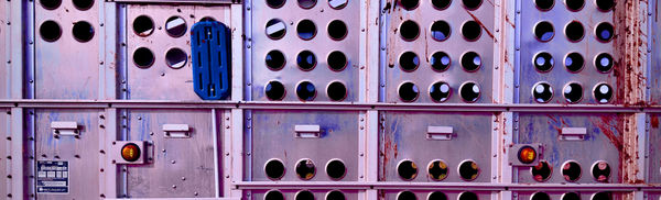 J.C. Pace III, Purple Blue Paddle, 2023