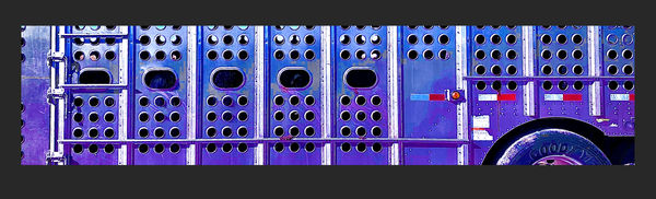 J.C. Pace III, 5 Large Purple with Tire, 2023