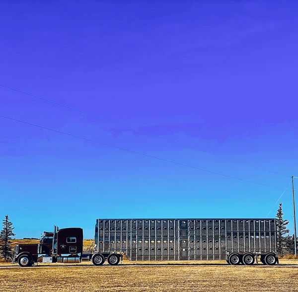 J.C. Pace III, Silver 18 Wheeler Blue Sky, 2023