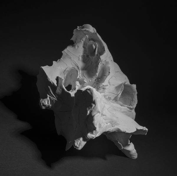 Attilio Quintili, #13 Senza Titolo, 2016