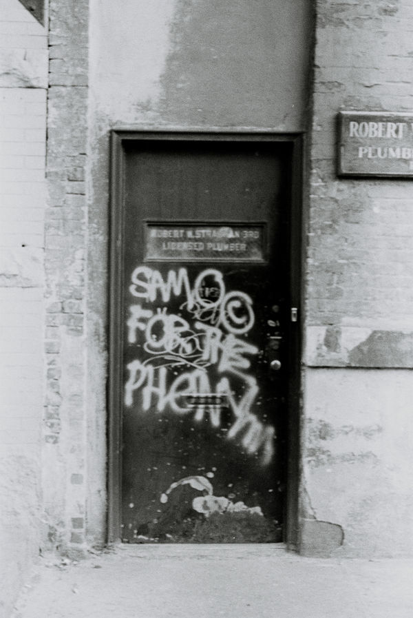 Vijya Kern, SAMO© for the phony, 2018