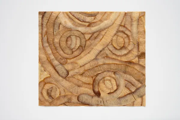 Lucy Gill, Pared II, 2026