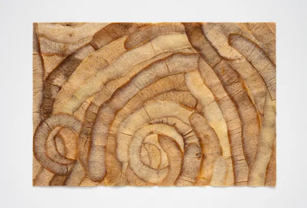 Lucy Gill, Pared III, 2026