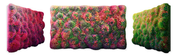 Zhuang Hong Yi World Famous Flowerbeds, 2025