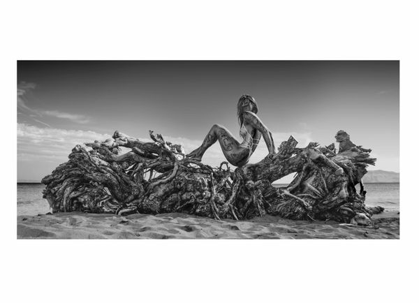 Leonardo Cóndor 200 cm x 100 cm La última Sirena, 2025