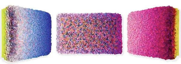 Zhuang Hong Yi World Famous Flowerbeds, 2025