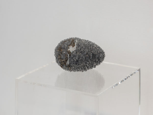 Ustina Yakovleva, From the series “Mosses” - I, 2023